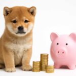 柴犬を飼う前に知るべき1ヶ月の費用相場と節約術