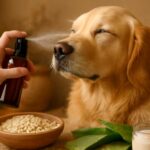 犬の乾燥肌に効く!手作り保湿スプレーの作り方と使い方完全ガイド