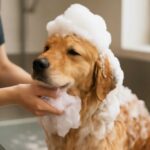犬のシャンプーを泡立てネットで完璧に！プロが教える効果的なコツ