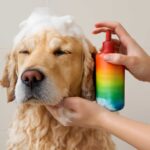 犬のシャンプーの泡立てはポンプで簡単に！100均活用で節約テク